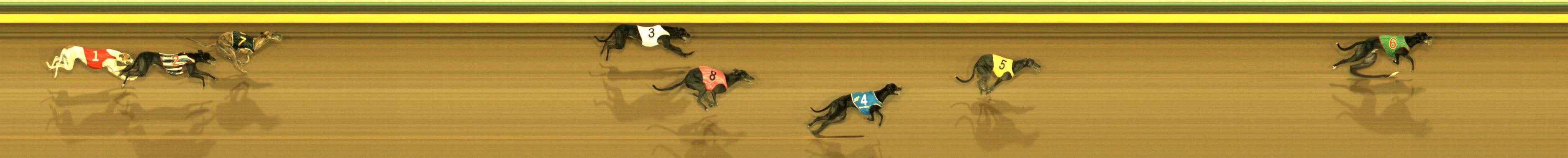 Race result finish photo